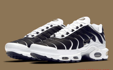 新款耐克气垫熊猫配色 Nike Air Max Plus黑白配色 货号CT1094-102